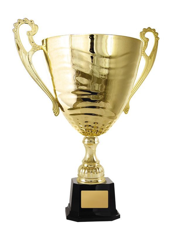 Gold Metal Cup 277mm
