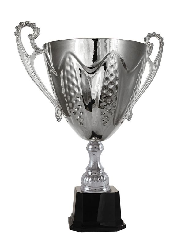 Silver Metal Cup 277mm