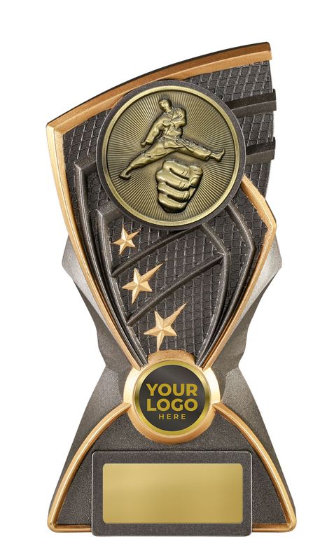 Martial Arts Trophy 210mm