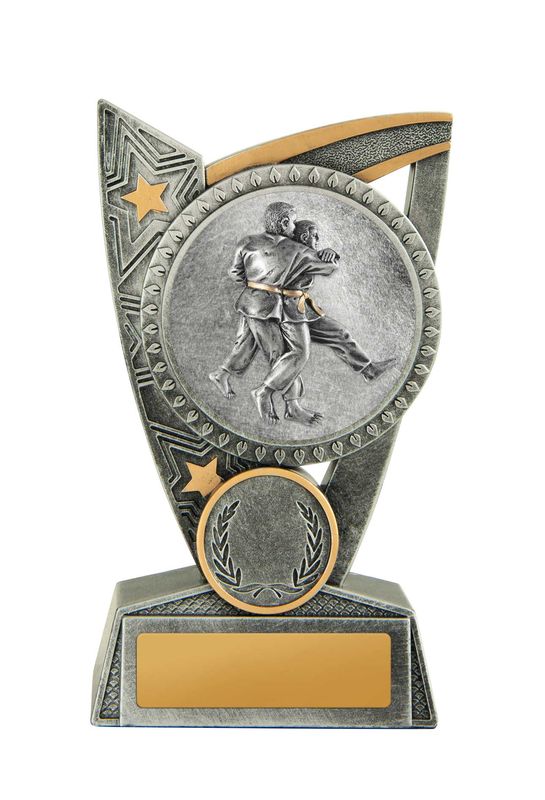 Judo Martial Arts Trophy 175mm