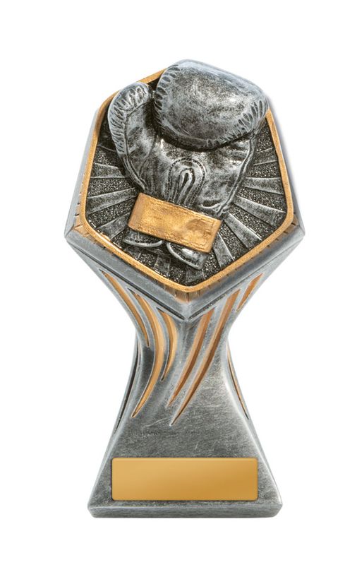 Boxing Trophy 225mm