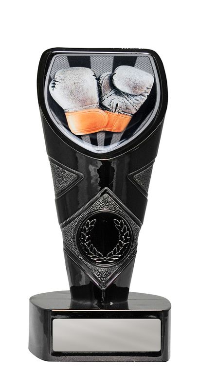 Boxing Trophy 225mm