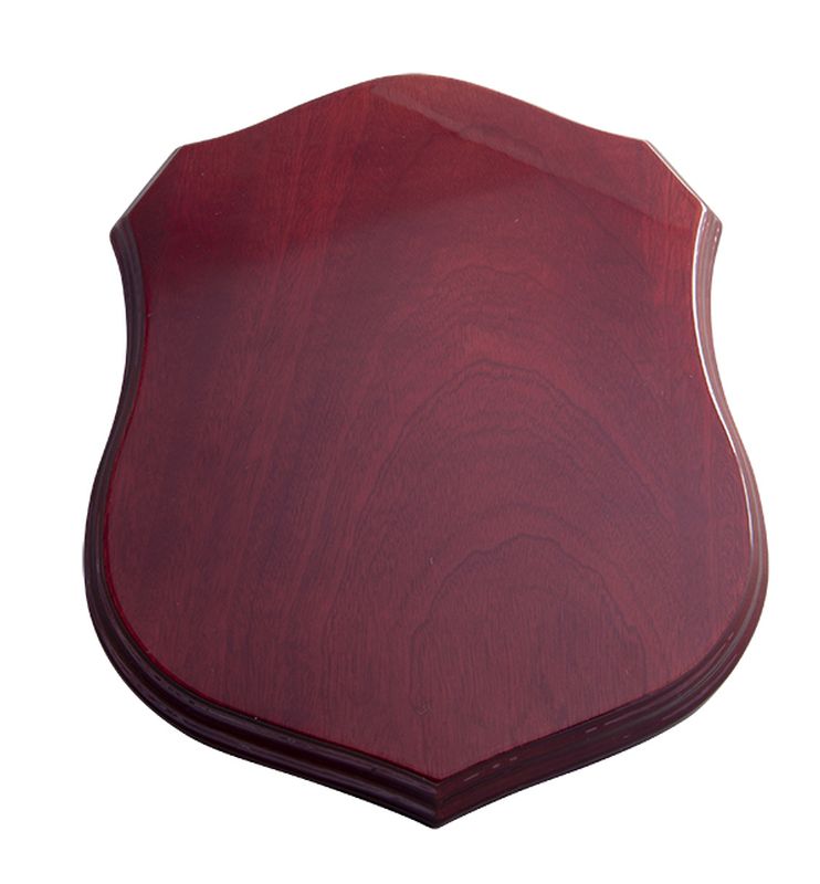 All Sports Plaque 160mm