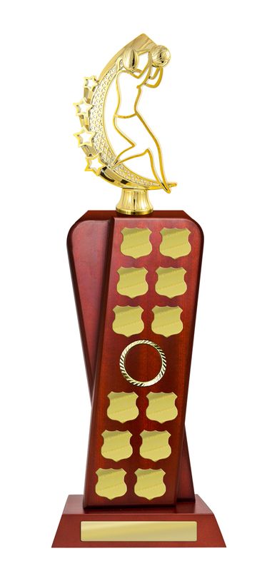 Netball Perpetual Trophy 440mm