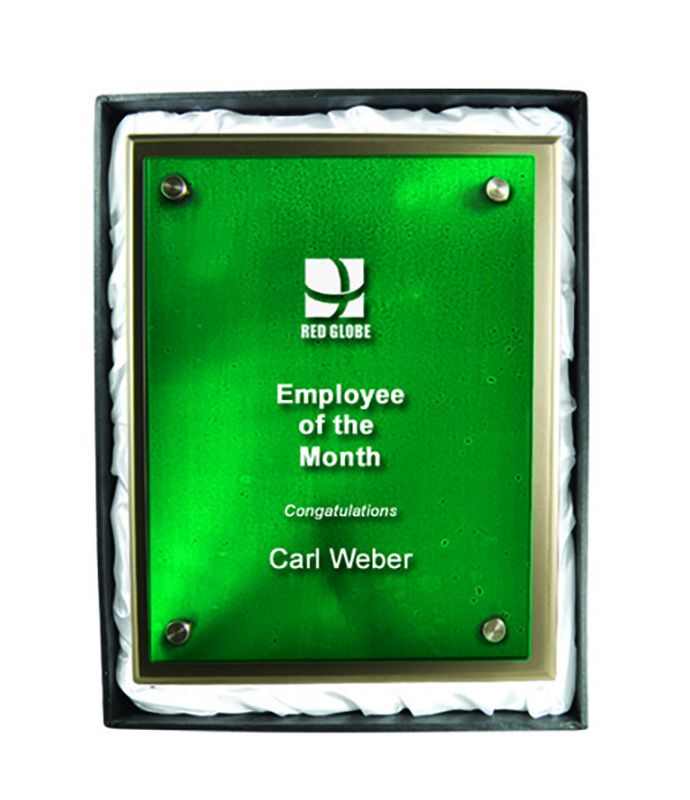 Plaque with Glass 225mm