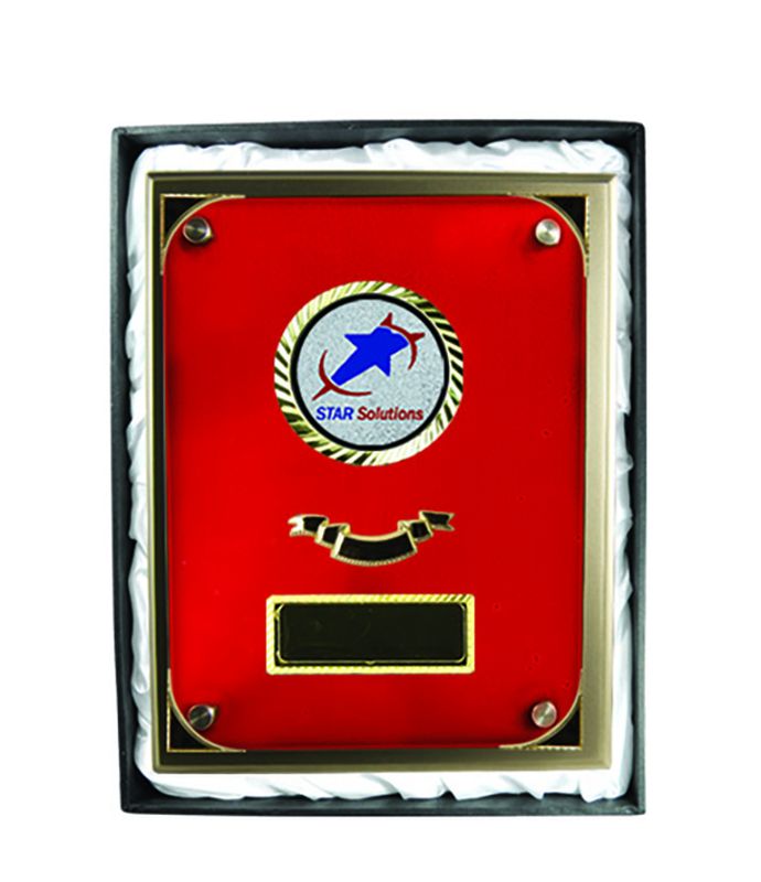 Plaque with Glass 225mm